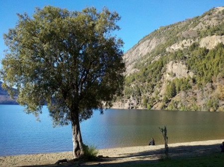Quila Quina - San Martin de los Andes